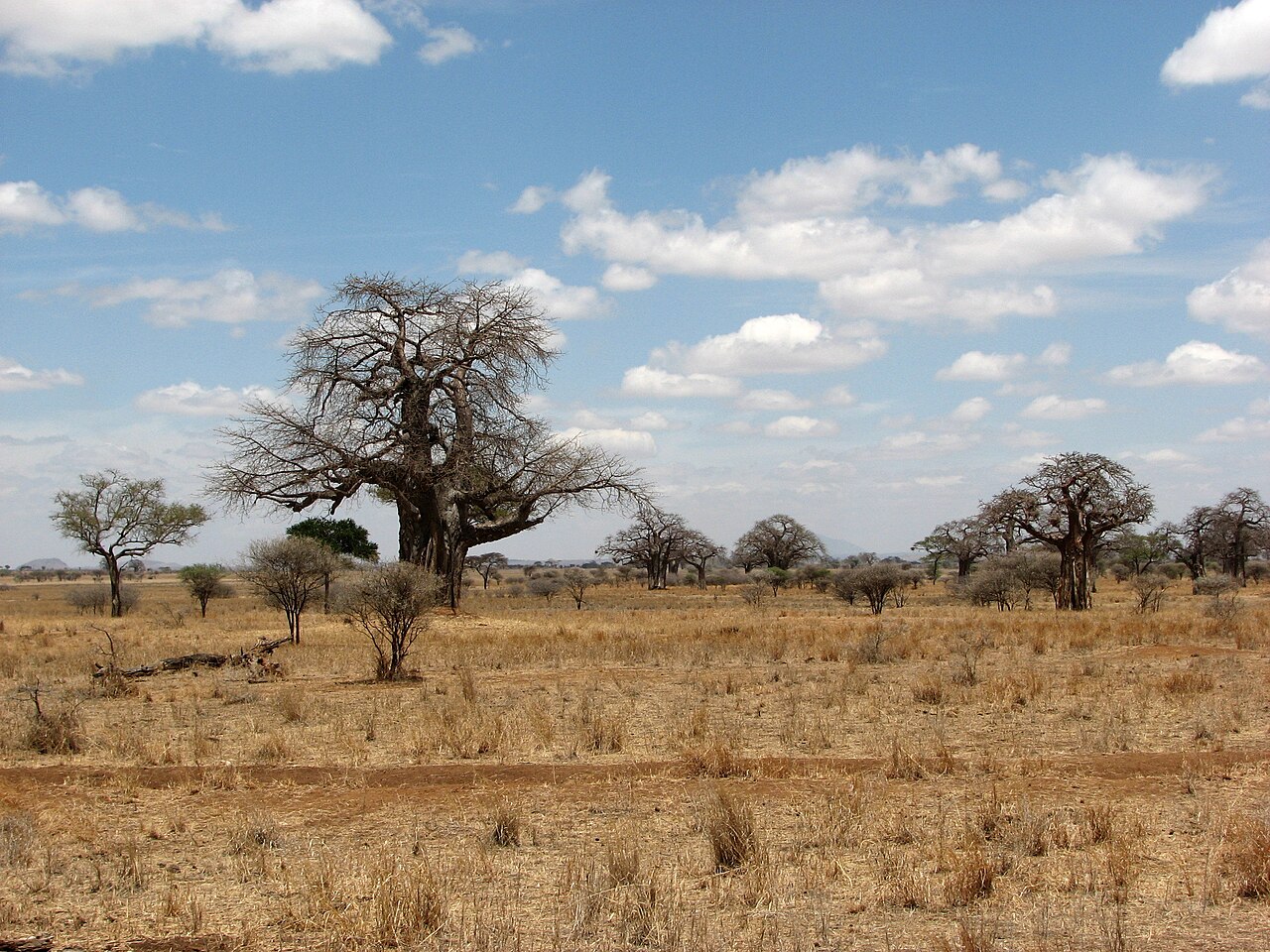 Tanzania Travel Tips